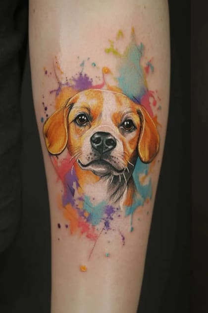 Tatuagem realista de cachorro com pelagem marrom e branca, em estilo aquarela vibrante com respingos coloridos, aplicada no braço.